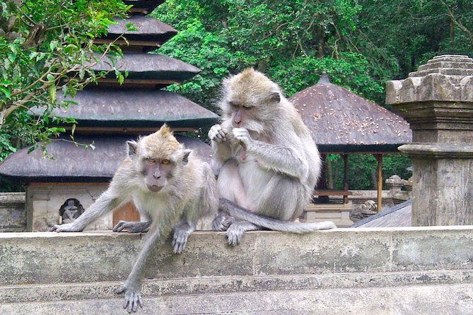 Best Bali Package Tour: 4 Days with Airport or Hotel Transfer - Price and Value: What $197 Per Person Gets You
