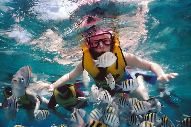 Best Bali Snorkeling at Blue Lagoon Beach: All-Inclusive - Boat transfers and the reality of time on the water