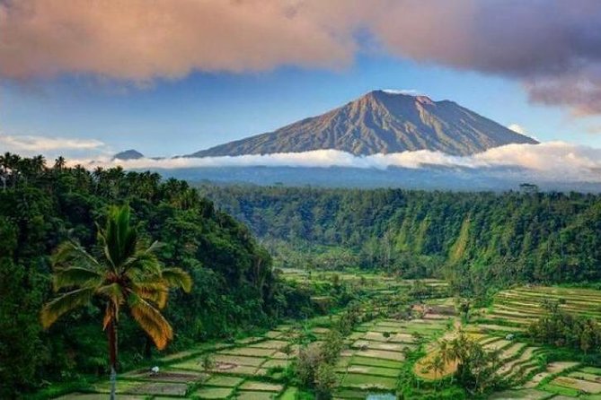 Best bali transport service - custom your own itinerary - Key highlights you’ll feel right away