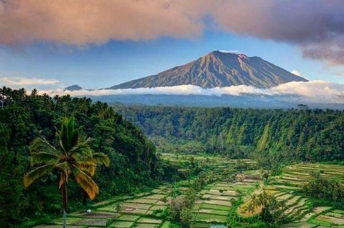 Best bali transport service - custom your own itinerary - Comfort and convenience: air-conditioning, bottled water, and pacing