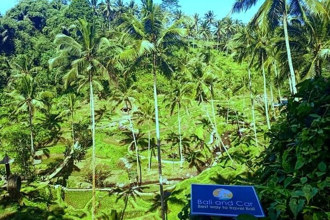 Best bali transport service - custom your own itinerary - Where this fits best (and where it might not)