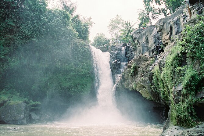 Best Day Tour - #1 Ubud Top Attraction - Private day tour comfort: getting from Nusa Dua without the hassle