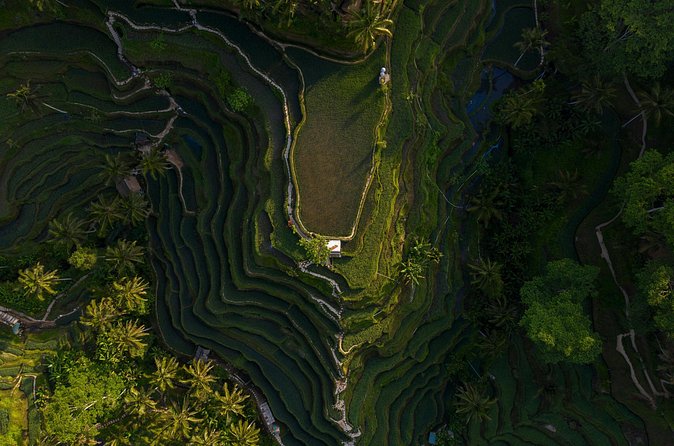 Best Day Tour - #1 Ubud Top Attraction - Batuan temples: nearly 1,000 years of Tri Kahyangan meaning
