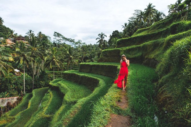 Best Day Trip in Bali - Sacred Monkey Forest Sanctuary: the start that sets the mood