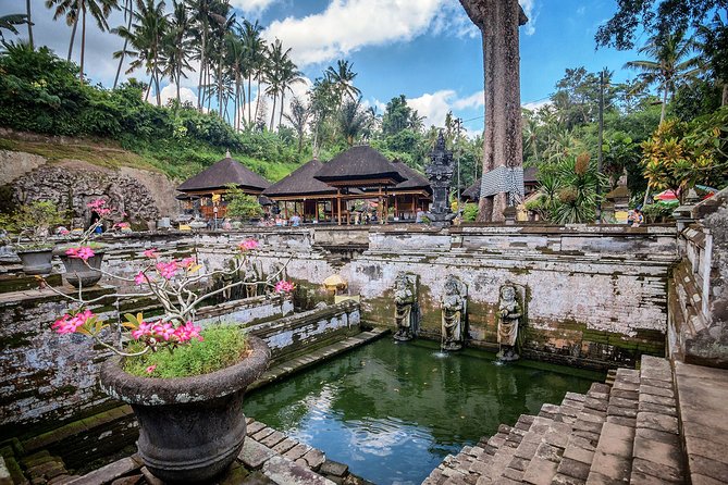 Best of Bali : Bali Temples , Rice Terrace and Waterfall Tour - Stop 4: Tegalalang Rice Terrace, big views with real walking