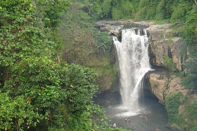 Best of Bali Jungle Swing with Ubud Sightseeing Tour - Ubud Traditional Art Market and Campuhan Ridge Walk: local color, not just icons