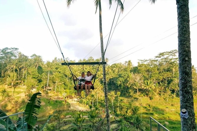 Best of Bali Jungle Swing with Ubud Sightseeing Tour - Price and value: what $60.33 per person actually buys
