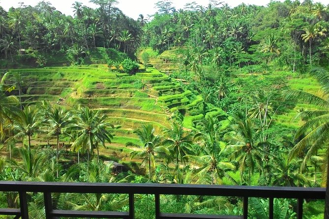 Best of Bali : Ubud, Rice terrace, Tanah lot temple with Lunch - Tegalalang Rice Terrace: the irrigation views you get in 30 minutes