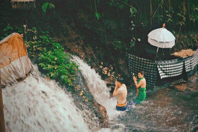 Best of Bali Ubud Tour and Surrounding - Is $45 a Fair Deal for an 8-Hour Bali Day?