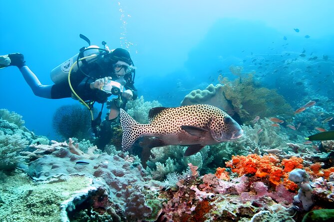 Best of Bali Water Sport Jumbo Packages - Parasailing plus the “time” question