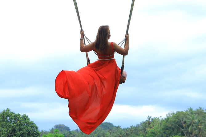 Best of Instagram Tour: Gate of Heaven, Tirta Gangga, Bali Swing - Tegalalang rice terraces in 15 minutes: quick hit, big pay-off