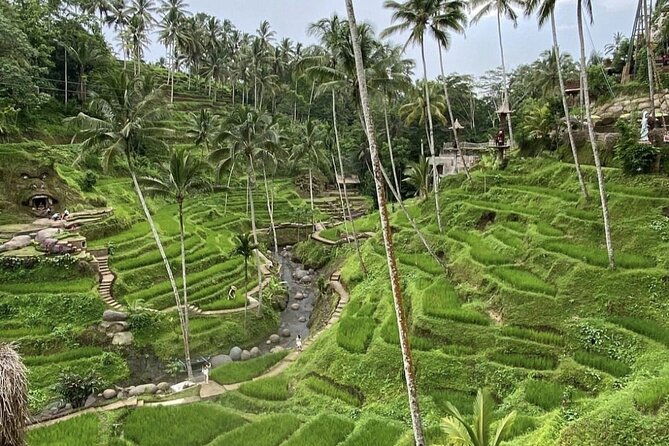 Best of Instagram Tour: Gate of Heaven, Tirta Gangga, Bali Swing - Price and value: what you’re really paying for at $100