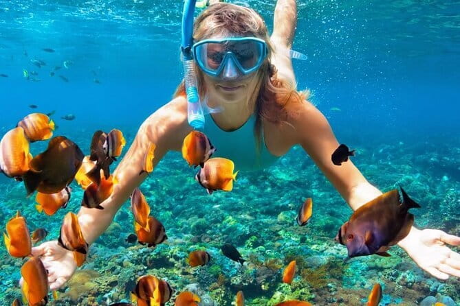 Best of Nusa Penida All-Inclusive Day Trip - Who This Tour Fits Best