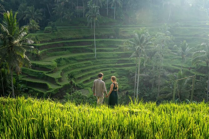 Best of Ubud: All-Inclusive Private Tour with Local Guide - Your driver-guide: English help plus real-world local cues