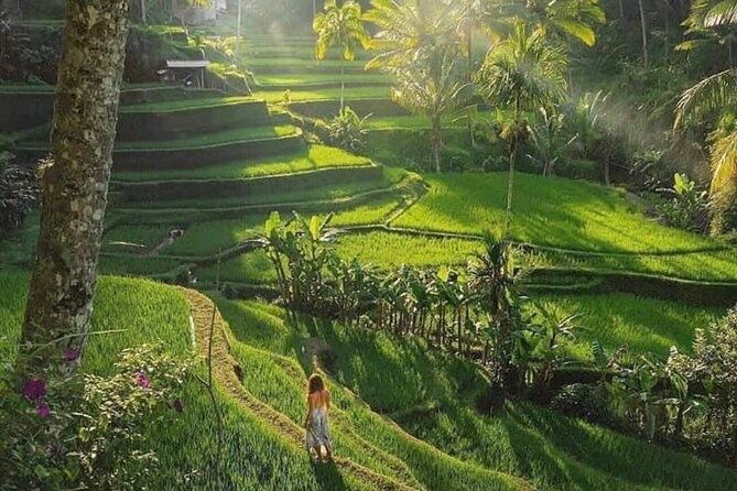 Best of Ubud: All-Inclusive Private Tour with Local Guide - Stop 4: Kanto Lampo Waterfall for a short stairs-and-photos walk