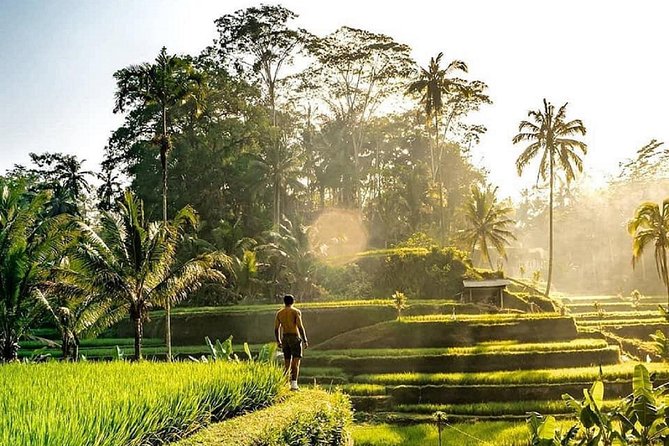 Best of Ubud - Full day Tour + FREE WI-FI - Key things to know before you go