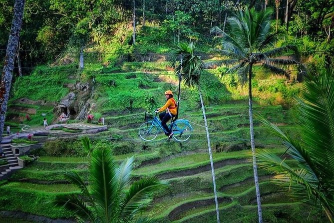 Best of Ubud - Full day Tour + FREE WI-FI - Phalam Batik, Wood Carving, and Celuk Village: Craft Stops That Don’t Feel Like Detours