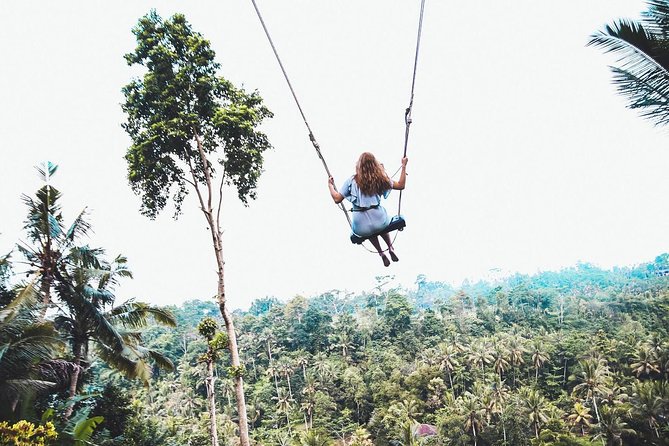 Best of Ubud Full-Day Tour with Jungle Swing - Sacred Monkey Forest Sanctuary: Wildlife, Shade, and Temple Energy