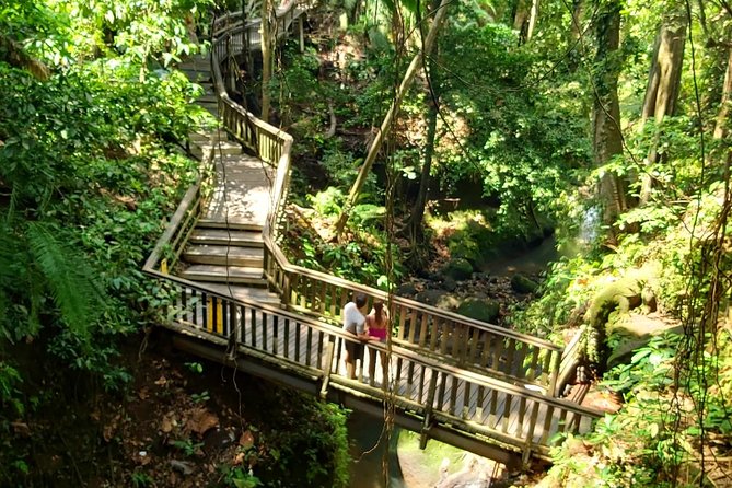 Best of Ubud - Kintamani Volcano View - Private Tour - The private driver-guide (Ketut Suwenda) is the real value