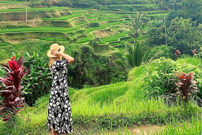 Best of Ubud - Kintamani Volcano View - Private Tour - Stop 1: Ubud Monkey Forest Sanctuary and long-tailed macaques