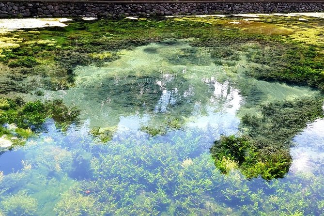 Best of Ubud - Kintamani Volcano View - Private Tour - Door-to-door timing: how to pace an 8 to 10 hour day