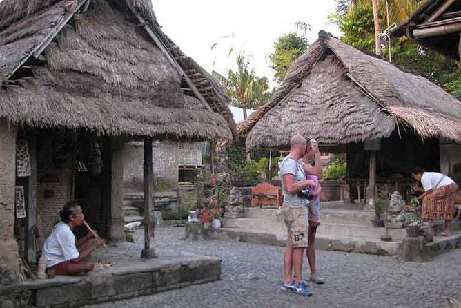 Best of Ubud Private Day Tour with All Inclusive - Stop 4: Tegallalang Rice Terrace and the Working-Farm Story