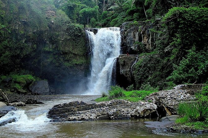 Best Of Ubud Private Day Tour With Local Guide - Stop 3: Sacred Monkey Forest Sanctuary and What Makes It Different