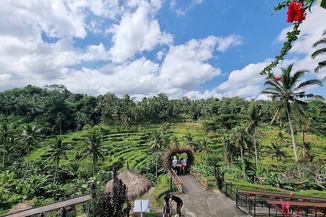 Best of Ubud Private Tour with Jungle Swing Experience - Price and What You Get for $33