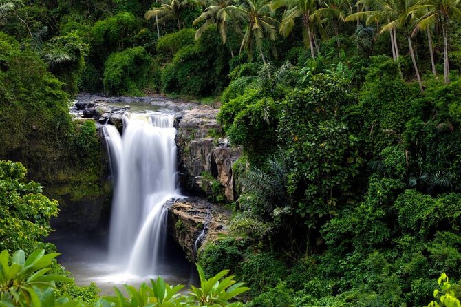 Best of Ubud: Rice Terrace, Temple and Waterfall Private Tour - The Cave and the Swing Over Ayung River: Optional Fun That Changes the Mood