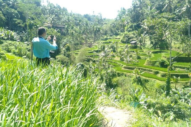 Best Of Ubud Scenic Full Day Private Guided Tour - Key things I’d lock in before you go