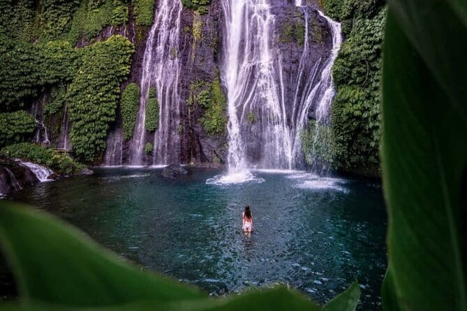 Best Of Ubud Scenic Full Day Private Guided Tour - Tegalalang Rice Terrace: one of Bali’s most photographed views