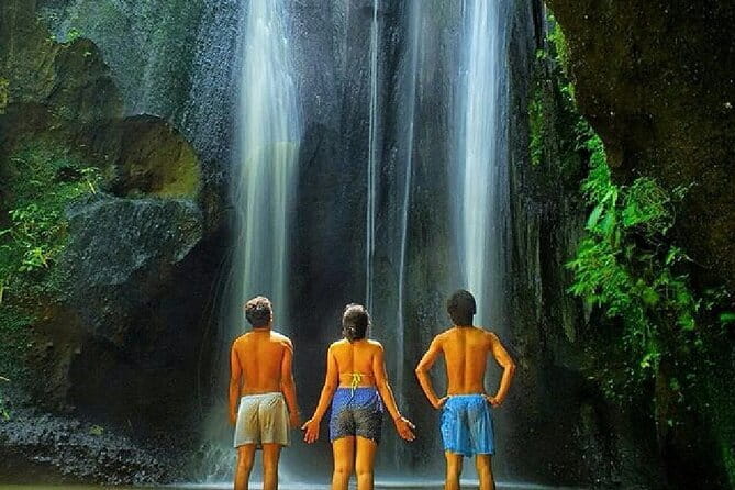 Best Of Ubud Scenic Full Day Private Guided Tour - Pura Tirta Empul Temple: the holy water temple moment