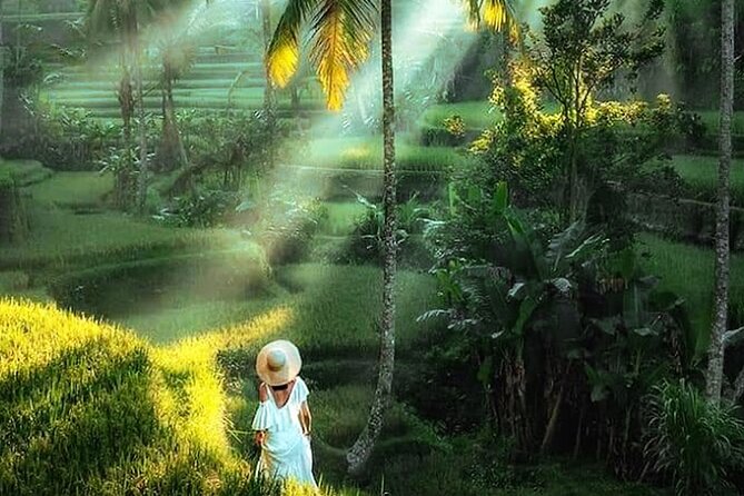Best of Ubud Tour: Monkey Forest, Rice Terraces & Waterfall - Ulu Petanu waterfall: getting down to the plunge pool area