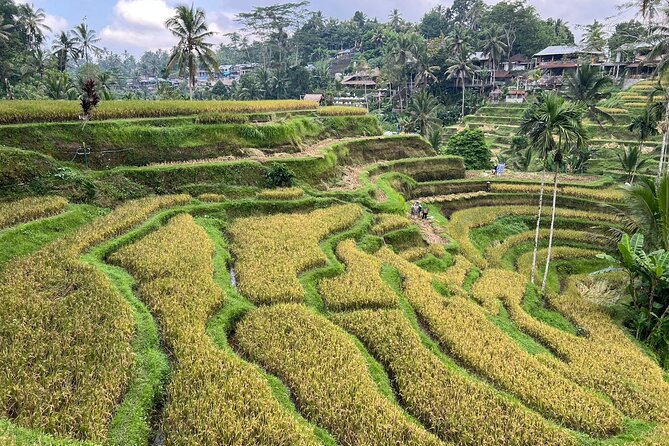 Best of Ubud - Ubud Tour Popular - All Inclusive - Stop 2: Tirta Empul Temple and the holy spring water rituals