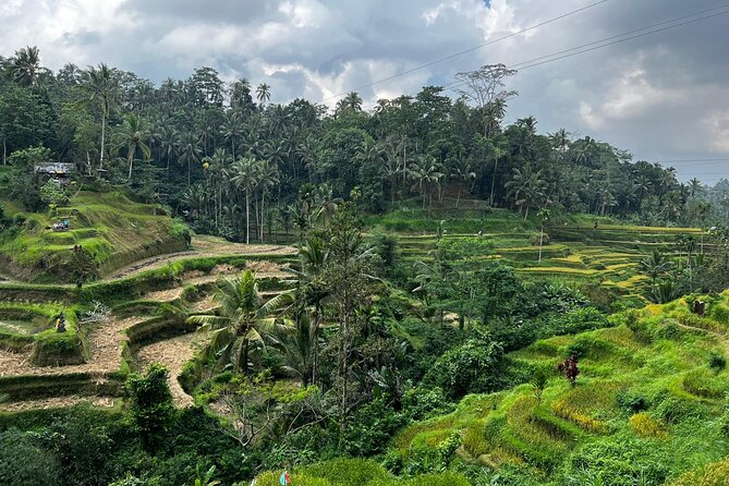 Best of Ubud - Ubud Tour Popular - All Inclusive - Stop 3: Tegenungan Waterfall and your “should I swim?” decision