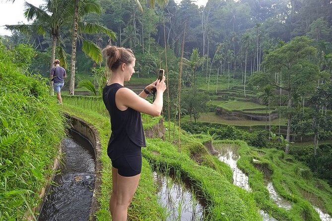 Best of Ubud - Ubud Tour Popular - All Inclusive - The stops: what you’ll see and what to watch for