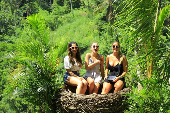 Best of Ubud Village Private Tour with Jungle Swing All Inclusive - The Driver Matter: How Guides Like Febri and Ayu Can Change Your Day