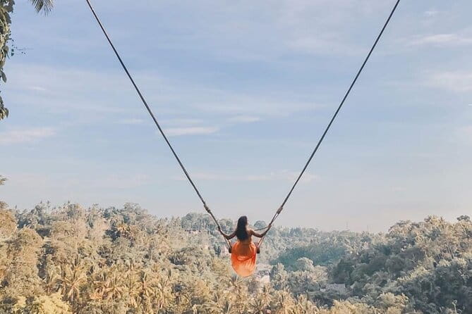 Best Of Ubud Waterfalls, Rice Terrace and Jungle Swing Tour - Good Value: What’s Actually Included in the $29 Price