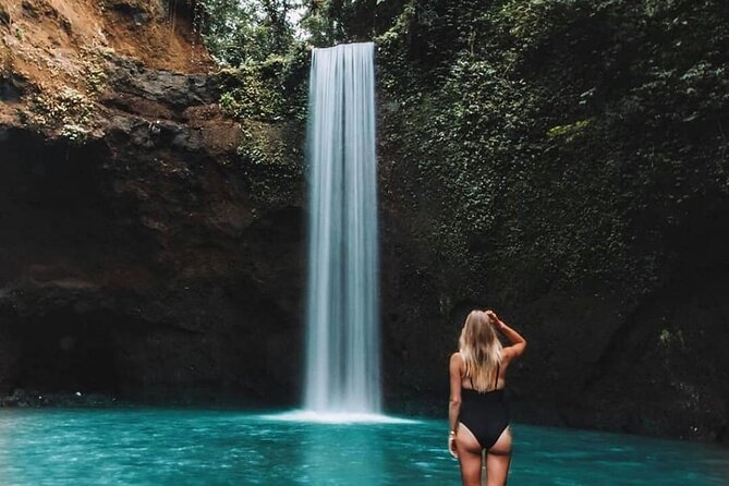 Best of Ubud Waterfalls, Tegalalang Rice Terrace and Swing Tour - A Ubud waterfall day that saves you from self-drive stress