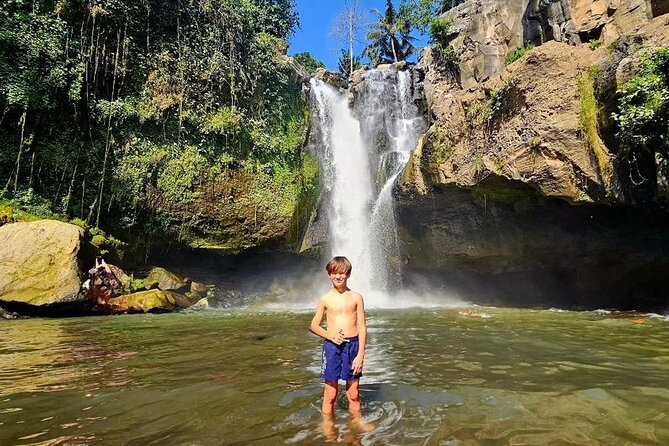Best of Ubud Waterfalls, Tegalalang Rice Terrace & Jungle Swing - A great Ubud day when you want variety, not just photos