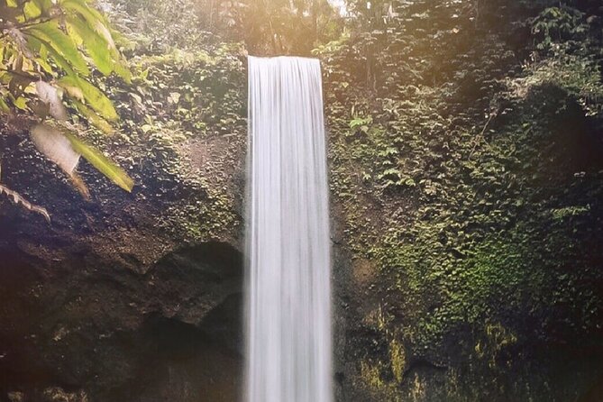 Best of Ubud Waterfalls, Tegalalang Rice Terrace & Jungle Swing - Price and logistics: where your $26.10 really goes