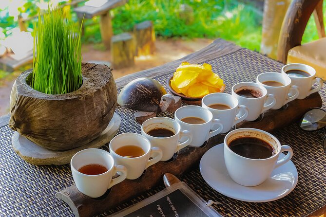 Best of Ubud: Waterfalls, Temple & Rice Terraces Private Day Tour - Coffee, Temples, Terraces: Why This Route Works as One Day