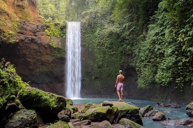 Best of Ubud: Waterfalls, Temple & Rice Terraces Private Day Tour - Price and Logistics: Does $31 Per Person Feel Worth It?