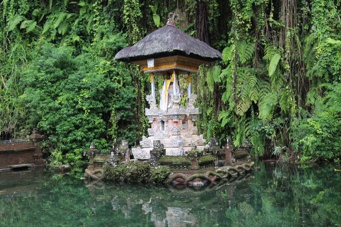 Best of Ubud with Jungle Swing Experience - A private Ubud plan that feels efficient, not rushed