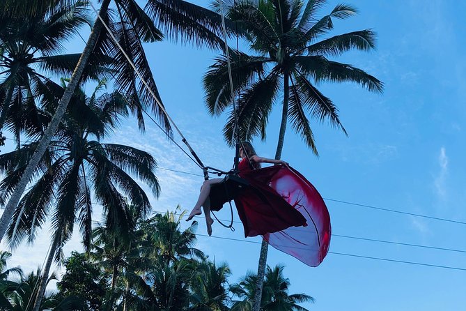 Best of Ubud with Jungle Swing Experience - Ubud Palace and the Sacred Monkey Forest: culture plus chaotic charm