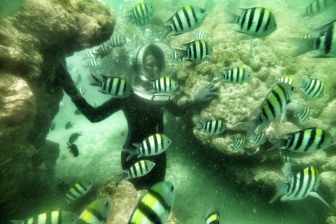 Best Package 3 in One Water Sport - Seawalker Helmet Sea-Walk and Fish Feeding: Calm, Conditional, Cool