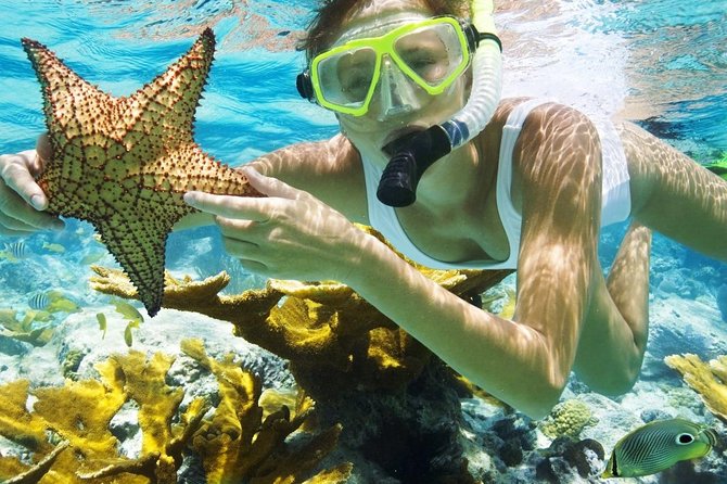 Best Snorkeling Trip at Blue Lagoon Bali - Getting from Ubud to Padang Bai: the day’s real work
