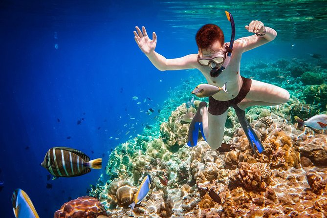 Best Snorkeling Trip at Blue Lagoon Bali - Boat-and-reef flow: how the tour keeps things manageable