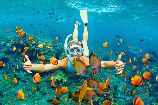 Best Snorkeling Trip at Blue Lagoon Bali - Snorkeling gear, guidance, and what you’ll actually see
