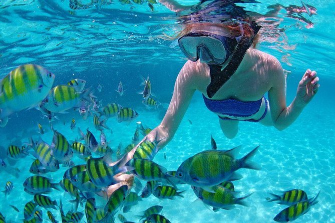Best Snorkeling Trip at Blue Lagoon Bali - Comfort after snorkeling: shower, change, then eat